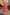  Zari Hijabeez tiered button-down modest dress collection in mustard, yellow, pink, and green – full-length cotton dresses for summer and Eid.